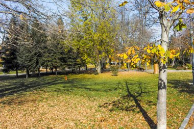 Bulgaristan 'ın Sofya kentindeki Borisova gradina' da (Boris Garden) ağaçlar ve bahçelerle muhteşem sonbahar manzarası