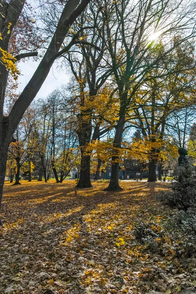 Bulgaristan 'ın Sofya kentindeki Borisova gradina' da (Boris Garden) ağaçlar ve bahçelerle muhteşem sonbahar manzarası