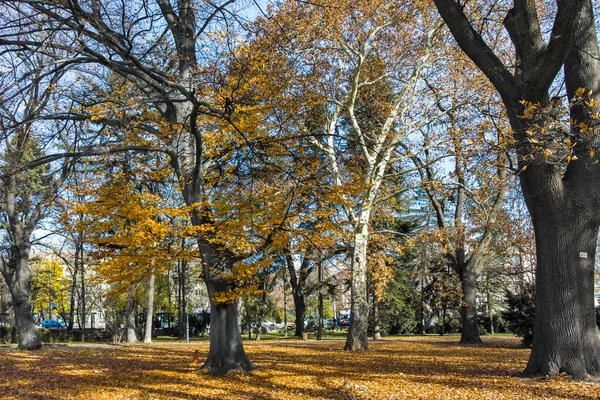Bulgaristan 'ın Sofya kentindeki Borisova gradina' da (Boris Garden) ağaçlar ve bahçelerle muhteşem sonbahar manzarası