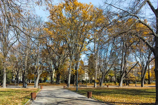 Bulgaristan 'ın Sofya kentindeki Borisova gradina' da (Boris Garden) ağaçlar ve bahçelerle muhteşem sonbahar manzarası