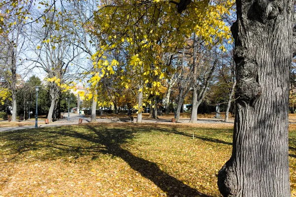 Bulgaristan 'ın Sofya kentindeki Borisova gradina' da (Boris Garden) ağaçlar ve bahçelerle muhteşem sonbahar manzarası