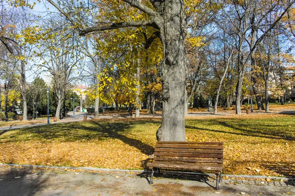 Paisagem Outono Incrível Com Árvores Jardins Borisova Gradina Boris Garden — Fotografia de Stock