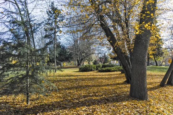 Bulgaristan 'ın Sofya kentindeki Borisova gradina' da (Boris Garden) ağaçlar ve bahçelerle muhteşem sonbahar manzarası