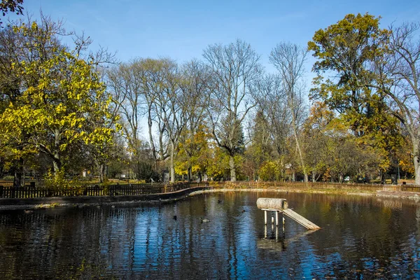 Bulgaristan 'ın Sofya kentindeki Borisova gradina' da (Boris Garden) ağaçlar ve bahçelerle muhteşem sonbahar manzarası