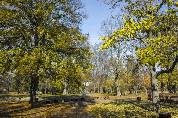 Increíble Paisaje Otoñal Con Árboles Jardines Borisova Gradina Boris Garden —  Fotos de Stock