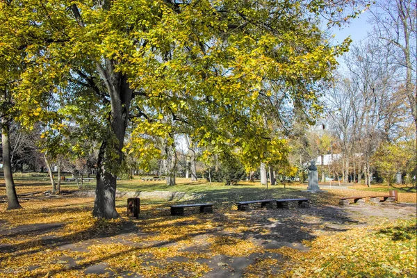 Bulgaristan 'ın Sofya kentindeki Borisova gradina' da (Boris Garden) ağaçlar ve bahçelerle muhteşem sonbahar manzarası