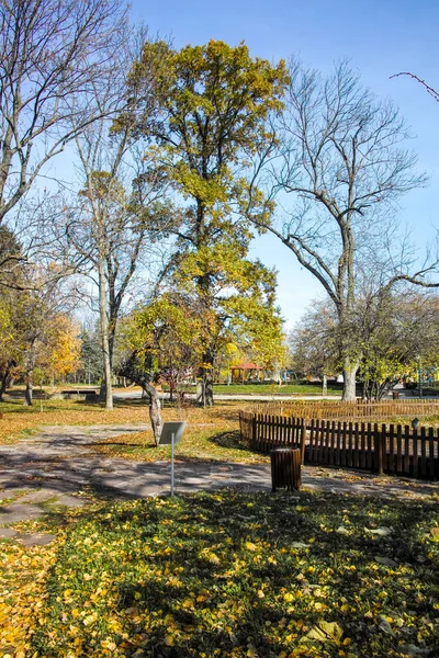Erstaunliche Herbstlandschaft Mit Bäumen Und Gärten Borisova Gradina Boris Garten — Stockfoto