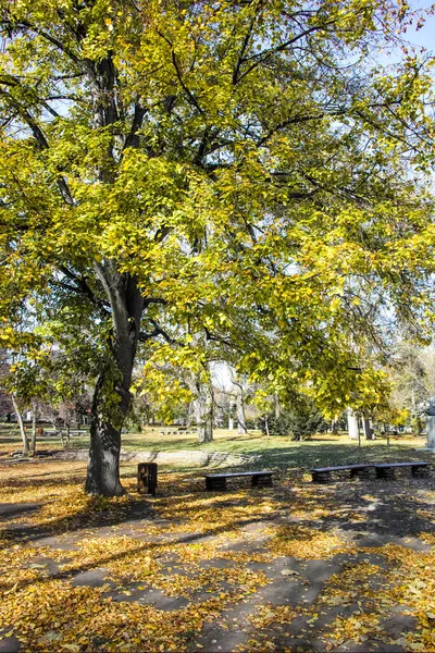 Bulgaristan 'ın Sofya kentindeki Borisova gradina' da (Boris Garden) ağaçlar ve bahçelerle muhteşem sonbahar manzarası