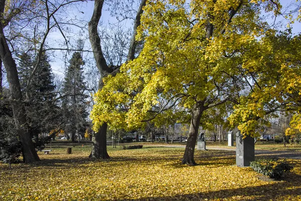 Erstaunliche Herbstlandschaft Mit Bäumen Und Gärten Borisova Gradina Boris Garten — Stockfoto