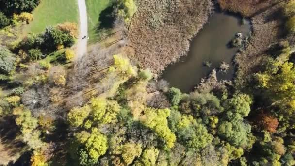 Erstaunliche Luftaufnahme Des Südparks Sofia Bulgarien — Stockvideo