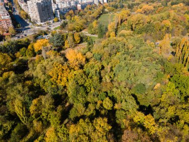 Bulgaristan 'ın Sofya kentindeki South Park' ın şaşırtıcı Sonbahar manzarası