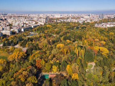 Bulgaristan 'ın Sofya kentindeki South Park' ın şaşırtıcı Sonbahar manzarası