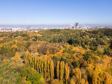 Bulgaristan 'ın Sofya kentindeki South Park' ın şaşırtıcı Sonbahar manzarası