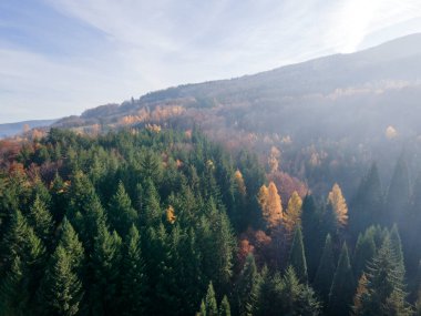 Bulgaristan 'ın Kyustendil bölgesindeki Bogoslov köyü yakınlarındaki Eski Sequoia ormanlarının hava manzarası