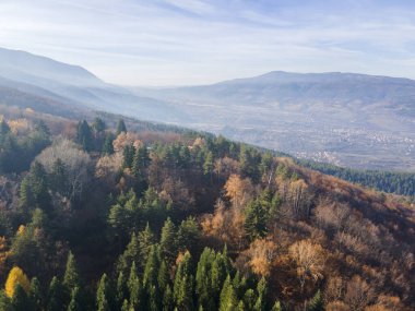 Bulgaristan 'ın Kyustendil bölgesindeki Bogoslov köyü yakınlarındaki Eski Sequoia ormanlarının hava manzarası