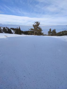 Bulgaristan 'ın Sofya Şehir Bölgesi, Vitosha Dağı' nın İnanılmaz Kış manzarası