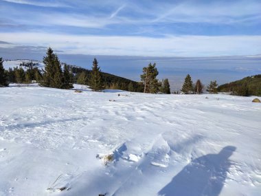 Bulgaristan 'ın Sofya Şehir Bölgesi, Vitosha Dağı' nın İnanılmaz Kış manzarası