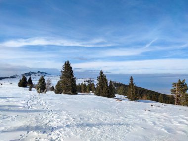 Bulgaristan 'ın Sofya Şehir Bölgesi, Vitosha Dağı' nın İnanılmaz Kış manzarası