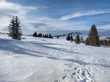 Bulgaristan 'ın Sofya Şehir Bölgesi, Vitosha Dağı' nın İnanılmaz Kış manzarası