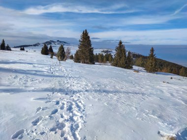 Bulgaristan 'ın Sofya Şehir Bölgesi, Vitosha Dağı' nın İnanılmaz Kış manzarası