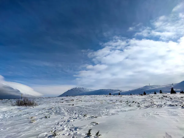 Úžasné Zimní Krajina Pohoří Vitoša Region Města Sofia Bulharsko — Stock fotografie