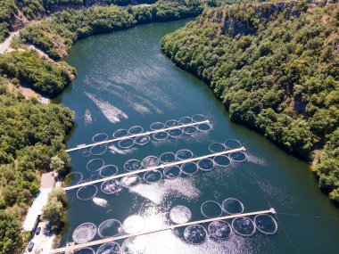 Krichim Reservoir, Rhodopes Dağı, Filibe Bölgesi, Bulgaristan