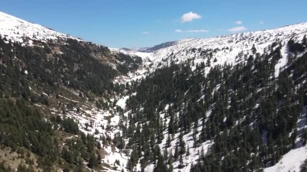 Pemandangan Udara Danau Suhoto Danau Kering Gunung Rila Wilayah Kyustendil — Stok Video