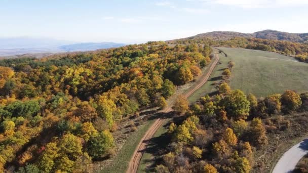 Autumn Landscape Cherna Gora Monte Negro Mountain Pernik Region Bulgaria — Stock Video