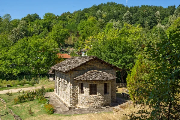 Neighborhood Baba Stana Grandmother Stana Authentic Nineteenth Century Houses Village — Stock Photo, Image