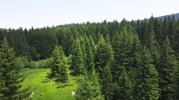 Αεροφωτογραφία Της Περιοχής Konyarnika Vitosha Mountain Περιφέρεια Πόλης Της Σόφιας — Αρχείο Βίντεο