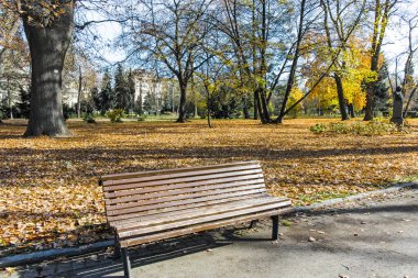 SOFYA, BULGARIA - 11 Kasım 2021: Bulgaristan 'ın Sofya kentindeki Borisova Gradina (Boris Garden) kentindeki Ağaçlı ve Bahçeli Sonbahar Manzarası