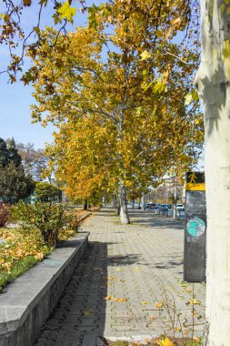 SOFYA, BULGARIA - 11 Kasım 2021: Bulgaristan 'ın Sofya kentinin şaşırtıcı sonbahar manzarası