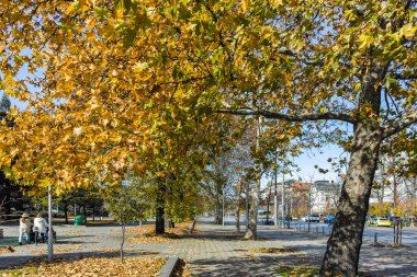 SOFYA, BULGARIA - 11 Kasım 2021: Bulgaristan 'ın Sofya kentinin şaşırtıcı sonbahar manzarası