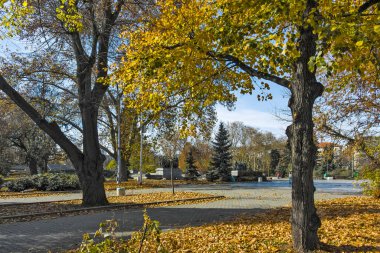 SOFYA, BULGARIA - 11 Kasım 2021: Bulgaristan 'ın Sofya kentinin şaşırtıcı sonbahar manzarası