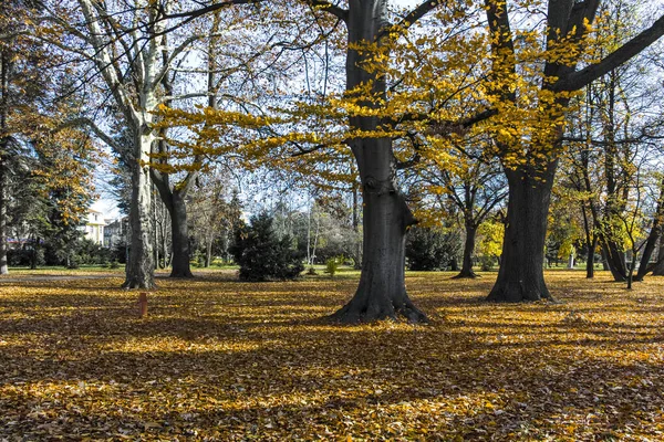 Sofia Bulgarien November 2021 Herbstlandschaft Mit Bäumen Und Gärten Borisova — Stockfoto