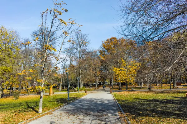 Sofia Bulgaria Noviembre 2021 Paisaje Otoñal Con Árboles Jardines Borisova — Foto de Stock