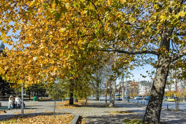 ソフィア ブルガリア 2021年11月11日 ブルガリアのソフィア中心部の素晴らしい秋の景色 — ストック写真