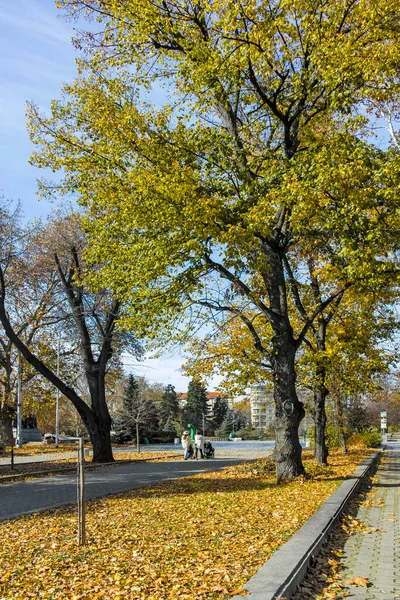 Sofia Bulgaria Noviembre 2021 Increíble Vista Otoño Del Centro Ciudad — Foto de Stock