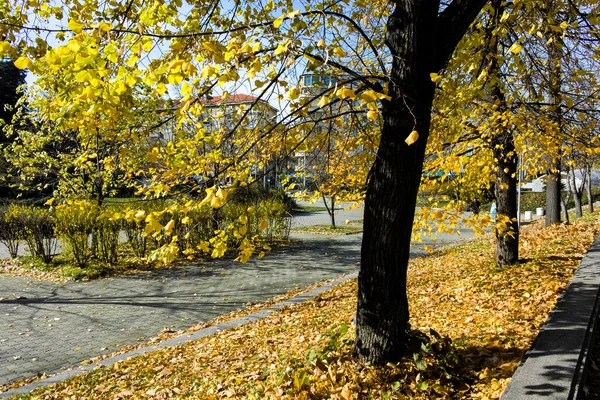 Sofia Bulgária Novembro 2021 Incrível Vista Outono Centro Cidade Sófia — Fotografia de Stock