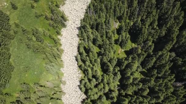 Aerial View Konyarnika Area Vitosha Mountain Sofia City Region Bulgaria — Stock Video