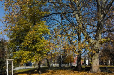 SOFYA, BULGARIA - 11 Kasım 2021: Bulgaristan 'ın Sofya kentindeki Bahçe Aziz Kliment Ohridski