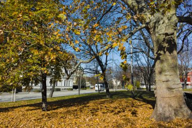 SOFYA, BULGARIA - 11 Kasım 2021: Bulgaristan 'ın Sofya kentindeki Bahçe Aziz Kliment Ohridski