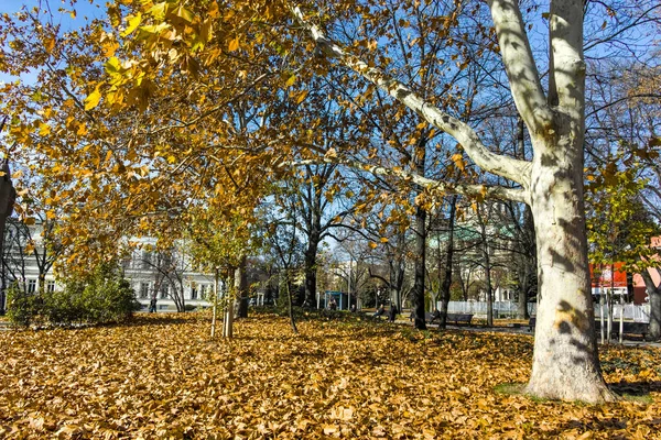 Sofia Bulgaria Noviembre 2021 Jardín Saint Kliment Ohridski Ciudad Sofía — Foto de Stock