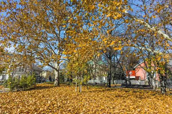 Sofia Bulgária Novembro 2021 Jardim Saint Kliment Ohridski Cidade Sófia — Fotografia de Stock