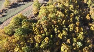 Sonbahar manzara Cherna Gora (Karadağ) Dağı, Pernik bölge, Bulgaristan