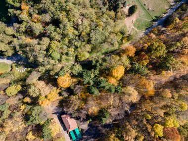 Bulgaristan 'ın Sofya kentindeki South Park' ın şaşırtıcı Sonbahar manzarası