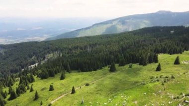 Bulgaristan 'ın Sofya Şehir Bölgesi, Vitosha Dağı' nın havadan yaz manzarası
