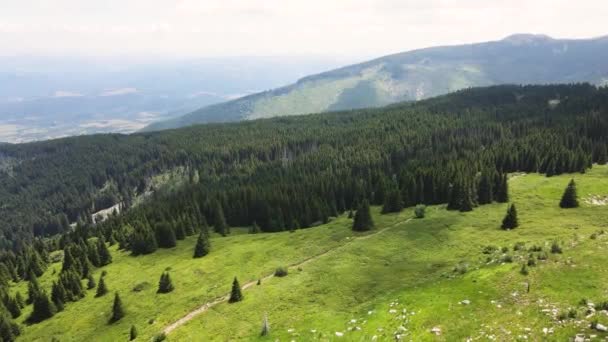 Αεροφωτογραφία Του Βουνού Vitosha Περιφέρεια Πόλης Της Σόφιας Βουλγαρία — Αρχείο Βίντεο