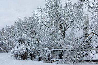 Bulgaristan 'ın Sofya kentindeki South Park manzarası şaşırtıcı.