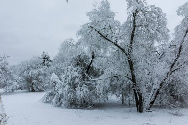 Bulgaristan 'ın Sofya kentindeki South Park manzarası şaşırtıcı.